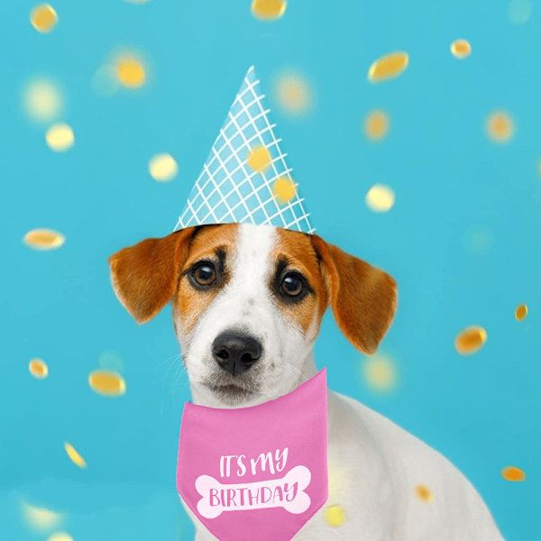 2 Pack Pet Dog Birthday Bandana Adjustable Triangle Scarf Dog