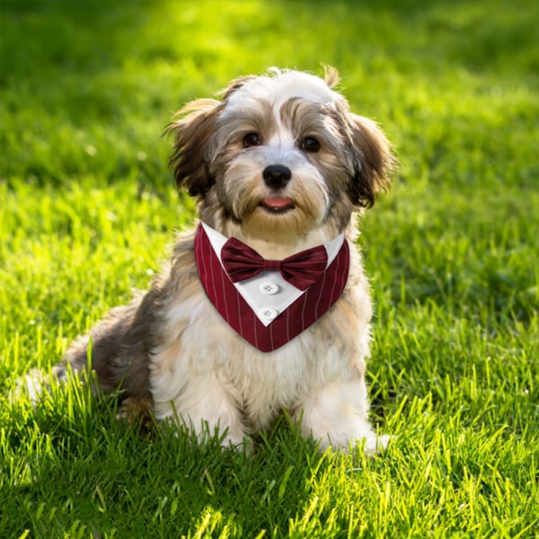 Dog Wedding Bandana Dog Collar with Bow Tie Birthday Costume