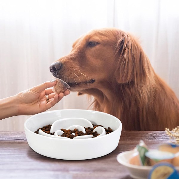 Keramisk Slow Food Hundskål för Små Hundar, Slow Food Kattskål, Slow Food Hundskål, Pusselskål för Små Hundar och Katter, Labyrintskål, Kvävningsförebyggande white