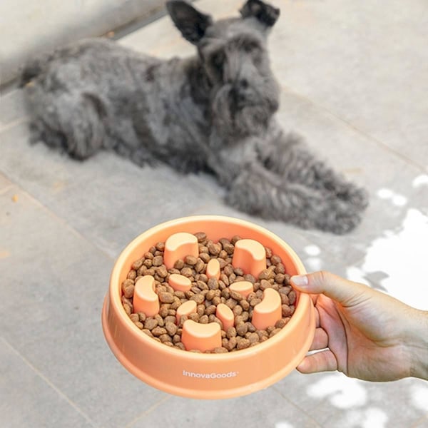 Matskål till Hund - Slow Feeder Orange