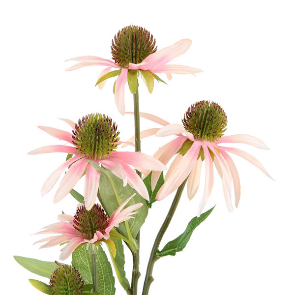 5 Huvuden Konstgjord Echinacea Purpurea Blomma för Hembord