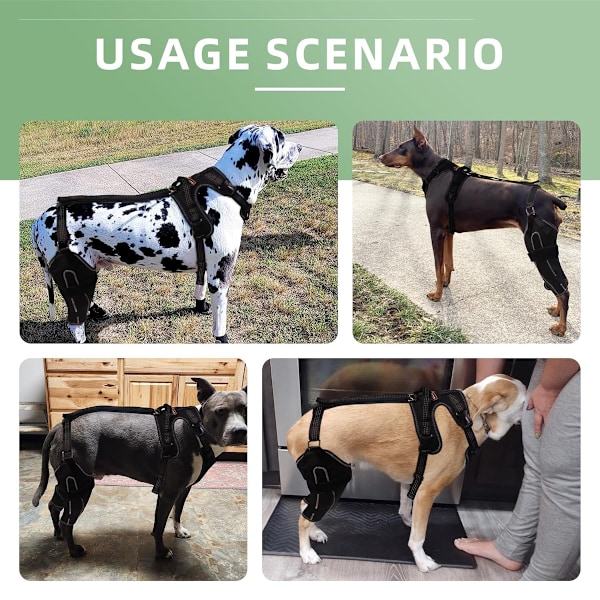Knästöd för hund, Stöd för bakben på hund, Benstöd för hund vid bristningar, Patellaluxation, Höftledsdysplasi och Hundartros, Justerbart L