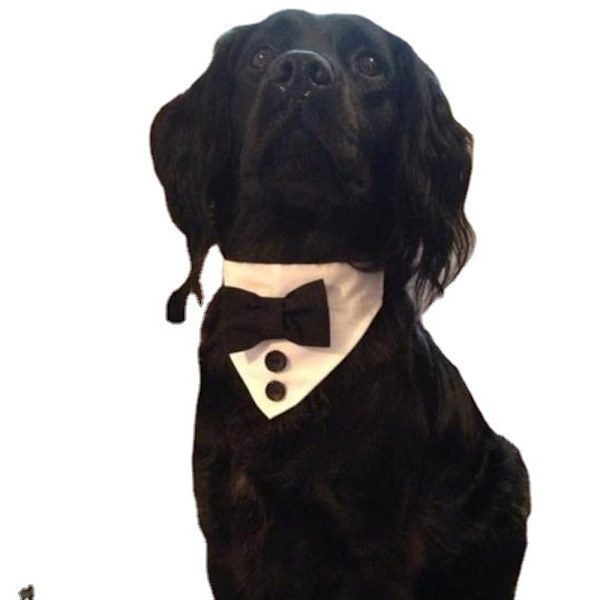 Dog Bandana Pet Triangle Bibs Scarfs Adjustable Collar