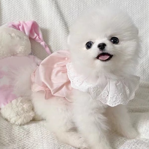 Söt tunn bekväm andningsbar klänning för katt malteser hund, vår sommar rosa L