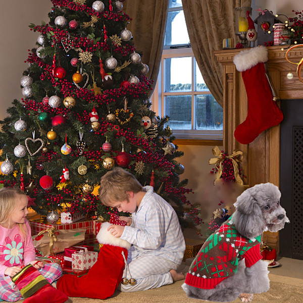 Christmas Sweaters Pet Winter Knitwear Xmas Clothes Classic