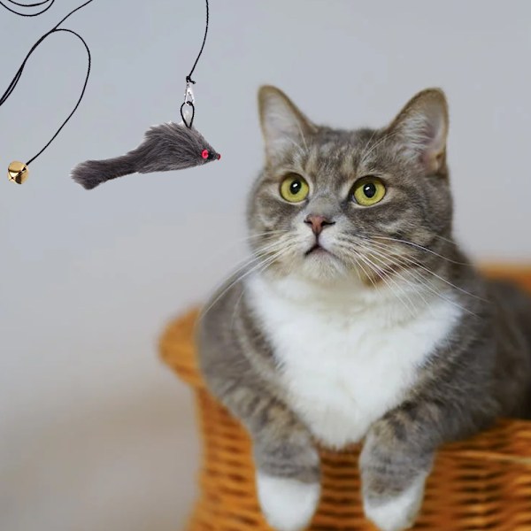 2 st hängande dörr studsande katt leksak kattunge husdjur leksak söt leksak