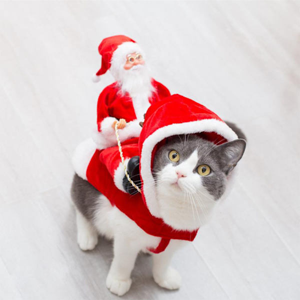 Husdjurs juldräkt Hundtomte Hästridande dräkt