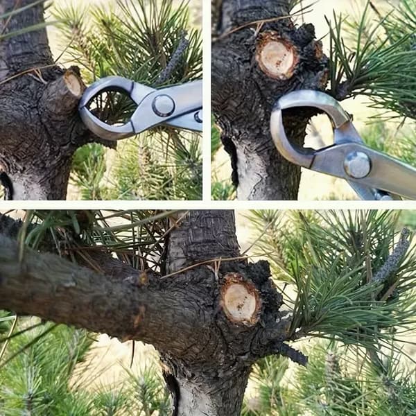 8-tums konkav avbitare, rostfri avbitare för bonsai och trädgårdsbeskärning