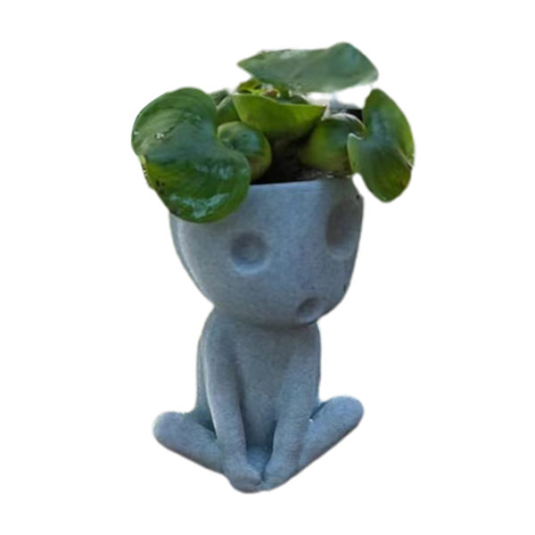Luminous Face Planter Pot Head Blomkruka Söta Harts Succulent