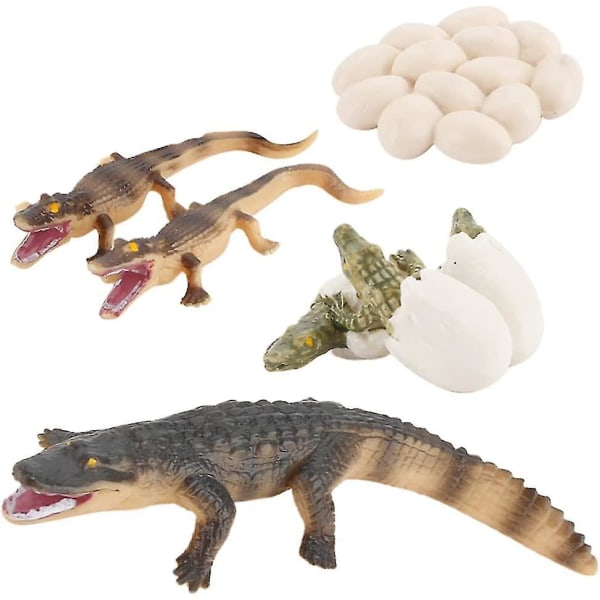 Krokodil växande leksak set, simulering djur ägg till djur