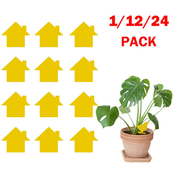 24 st Klibbiga Flugfällor Papper Fruktflugor Insekt Limfälla House 24PCS