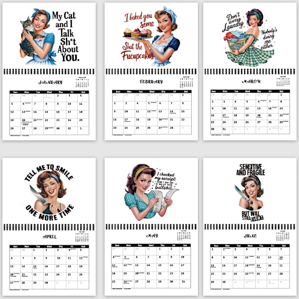 Rensa Huset Rörigt B*tch Kalender 2025 Väggkalender Hängande Rolig Nyhet Humor 12 Månadsvis Planerare Daglig Organiserare Present