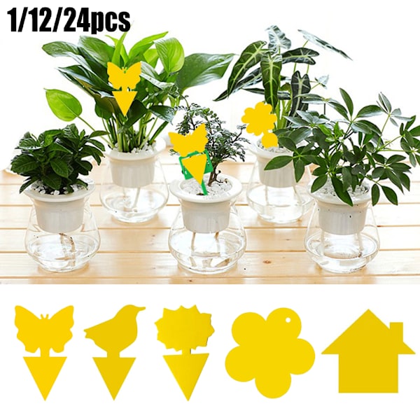 24 st Klibbiga Flugfällor Papper Fruktflugor Insekt Limfälla Bird 24PCS