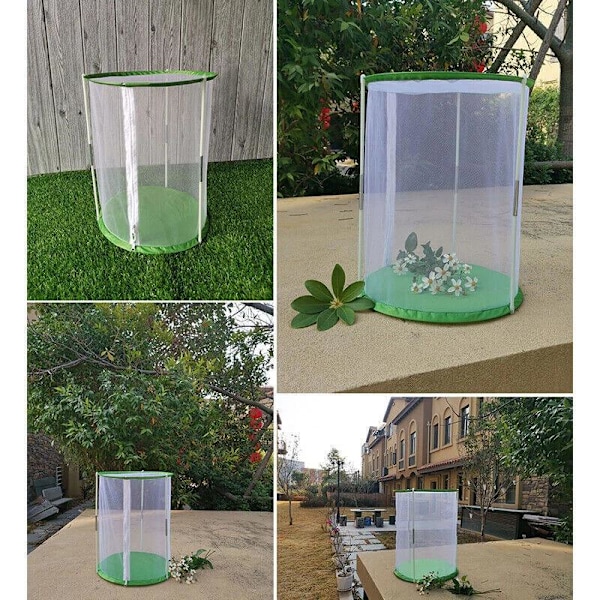 40 cm sommerfuglehabitatbur, synligt insektbur, insektobservationsbur 30*40cm