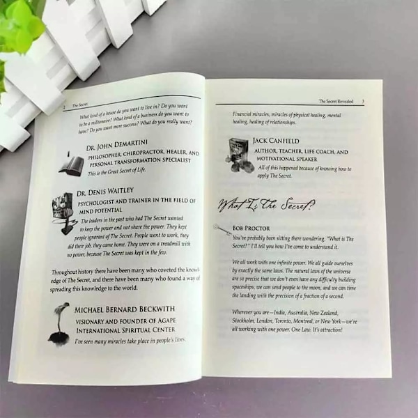 Secret Library The Secret Daily Teachings, Bok