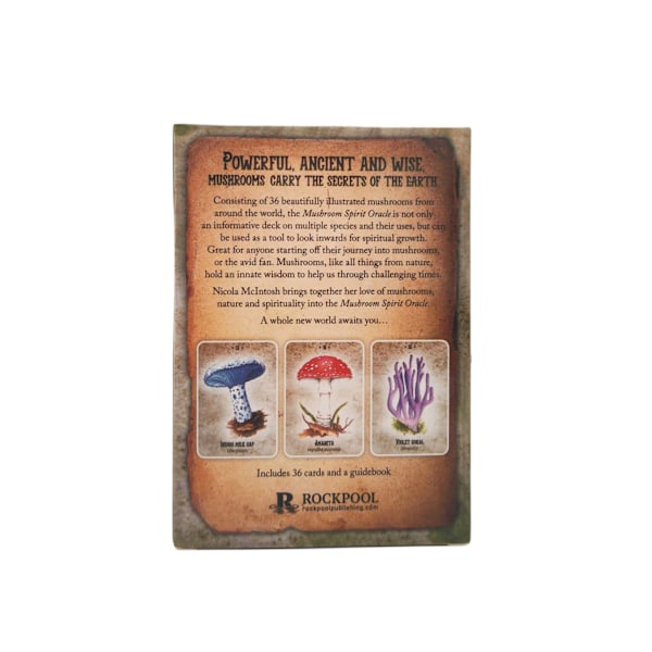 Standard Tarotkortlekar | Svampande Oracle Spådomsverktyg | Engelsk Version