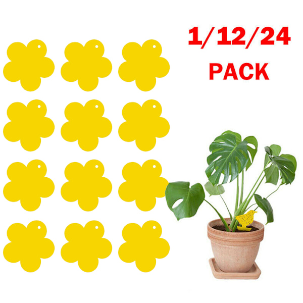 24 st Klibbiga Flugfällor Papper Fruktflugor Insekt Limfälla Butterfly 24PCS