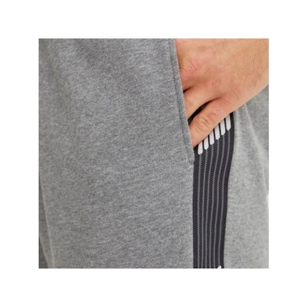 Lyhyt Emporio Armani Mies Kotka Harmaa Puuvilla Grå M