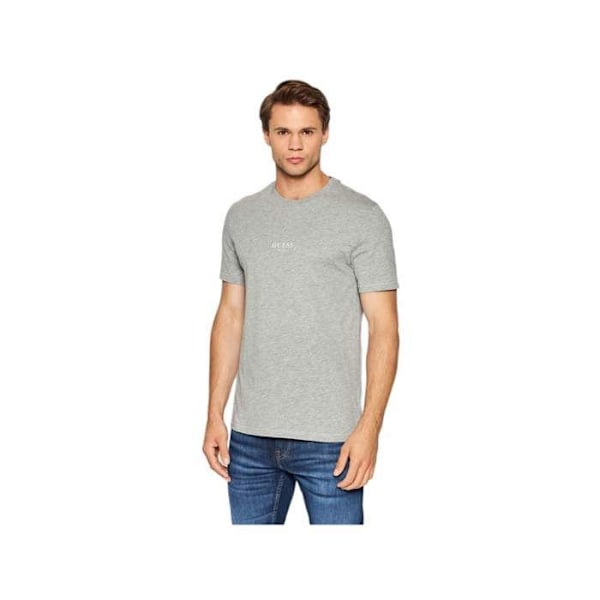 Kortärmad t-shirt Aidy cn ss tee - Guess Grå S