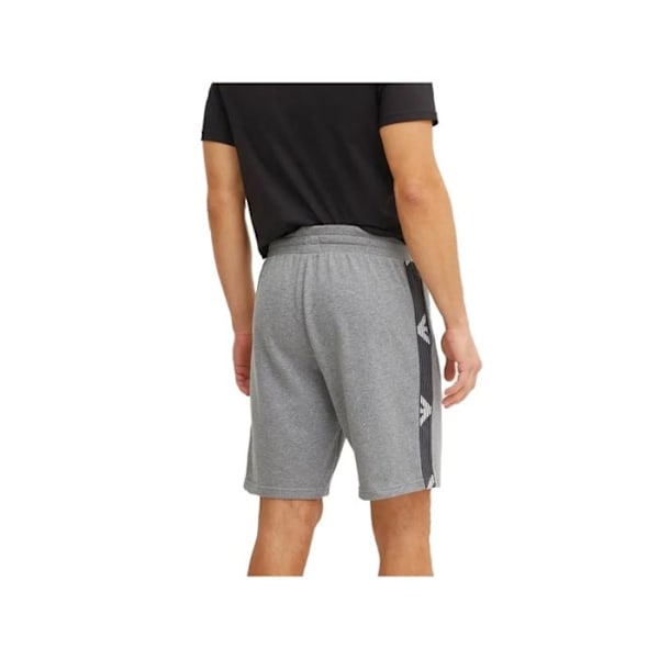 Lyhyt Emporio Armani Mies Kotka Harmaa Puuvilla Grå M
