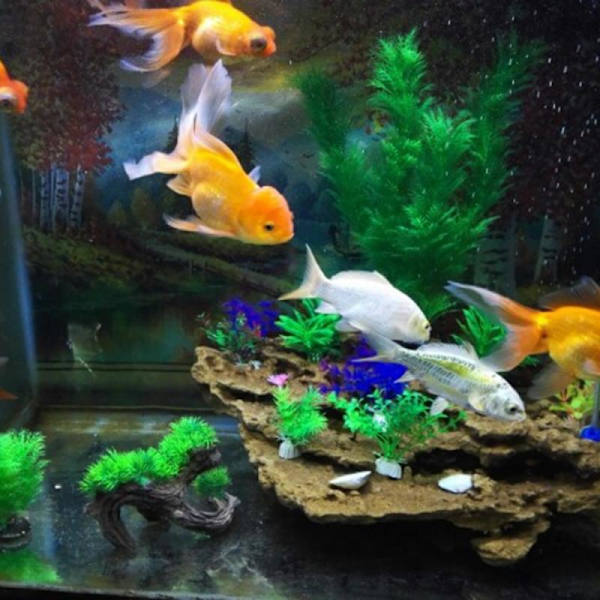 Konstgjord Akvarium Plast Växt Dekoration Grön