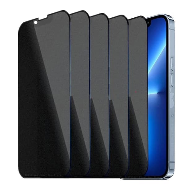 iPhone 16 E Privacy Glass  Svart/Transparent