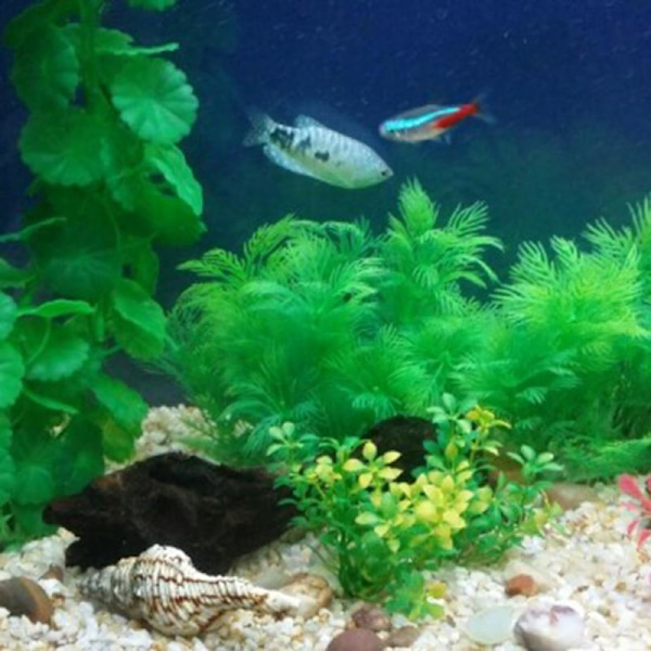 Konstgjord Akvarium Plast Växt Dekoration Grön