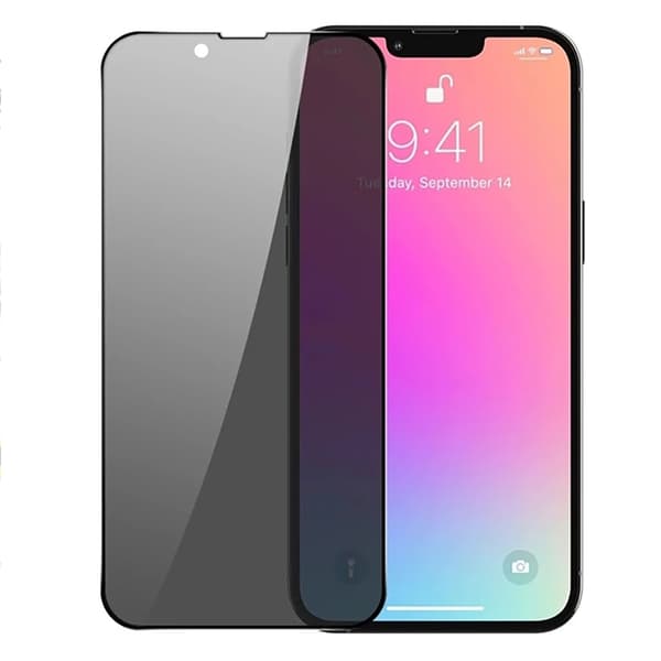 iPhone 16 E Privacy Glass  Svart/Transparent