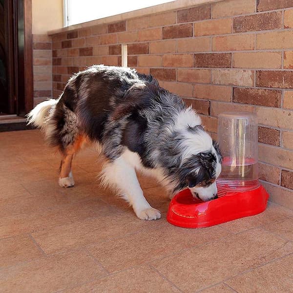 Vand- eller foderdispenser til katte og hunde, tørfoder/vand 0,6 liter, robust plastik 12,5 x 19 x H 19,5 cm rød