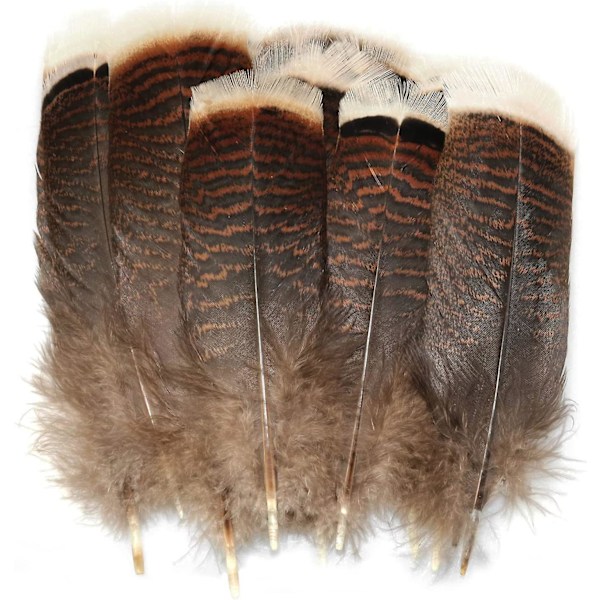 Naturlige Kalkunfjer 20 stk. 15-20 cm/5,9-7,87 tommer Værdifulde Kalkunhalefjer til DIY Kostume Hovedbeklædning