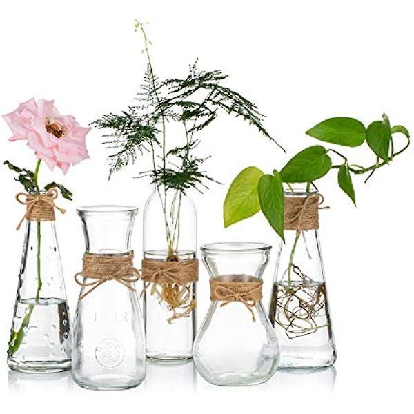 Pakke med 5 klare glasvaser, blomstervaser i glas med rebdesign i forskellige unikke former, blomstervase som midtpunkt til bryllupsreception og brudefest 1 Set Stil B