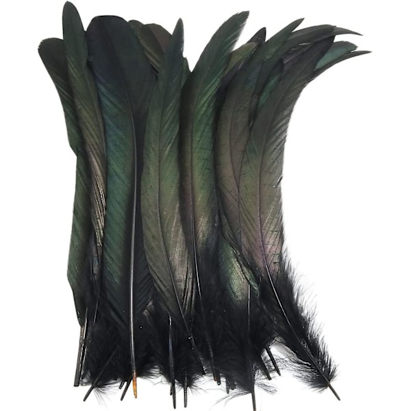 Hane Fjer 40 stk 25-30cm / 10-12 tommer Sort Naturlig Hanehale Fjer Brugt Hatte Kostume Dekoration, Hanehale Fjer
