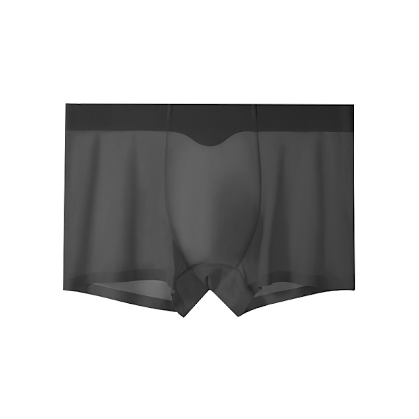 Miesten Jäljetön Alusvaate Jääsilkki Bokserit Seksikkäät Läpinäkyvät Alushousut black 2XL