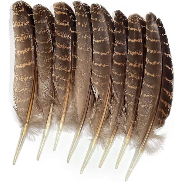 Naturlige kalkunfjer 12-18 cm Party Håndværk Hat DIY Dekoration Pr. Pakke Med 10