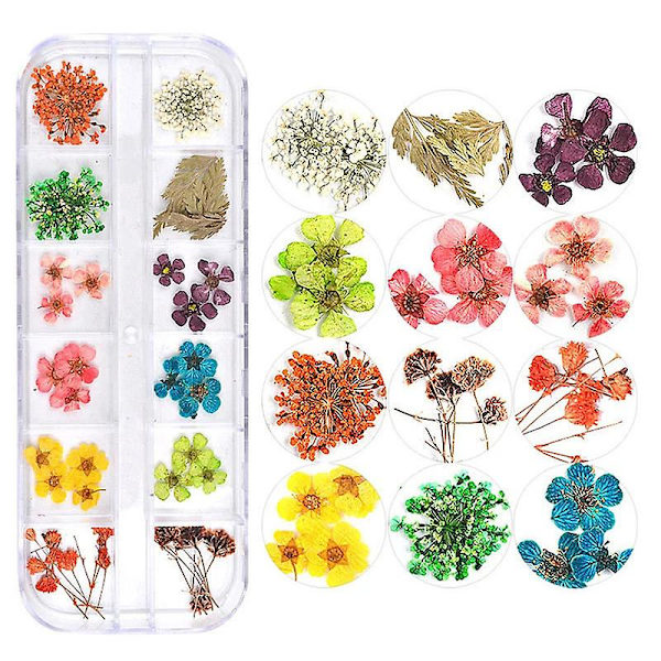 36 stk. kombinasjons neglepynt tørkede blomster håndlagde DIY negleklistremerker, tørkede blomster hortensia snøperler blomsterpynt A