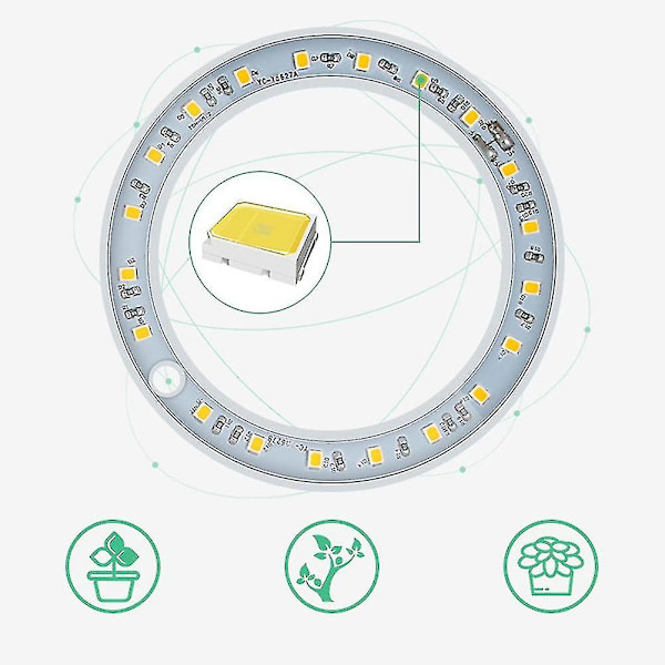 Plantevækstlampe LED-lys til indendørs sukkulenter