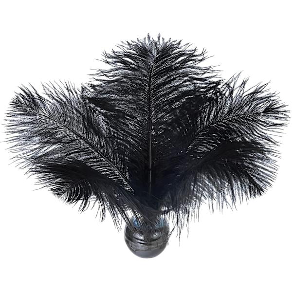 24 stk. Naturlige Svarte Strutsfjær 20-25 cm Bulk for DIY Halloween-dekorasjoner, Bryllupsfest Midtstykker, Gatsby-dekorasjoner