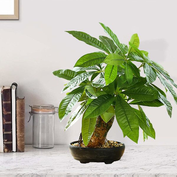 Simulering av stor bonsai, gröna växter, bonsai, kreativa heminredningar, artificiell simulering av gröna växter, krukväxter
