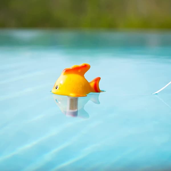 Flydende Pool Termometer | Fisk | Flydende Pool Termometer Analog Termometer Til Vand