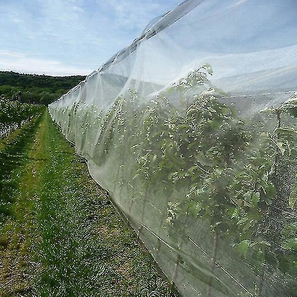 Puutarhaverkko Hyttys- ja hyönteisverkko Lintujen torjuntaverkko Puutarhaverkon suojaverkko Kasvien hedelmien ja kukkien suojaamiseen 122cmx305cm(4ftx10ft)