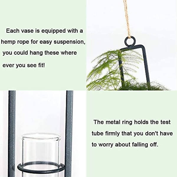 Set med 3 hängande planter terrarium i metalljärn, genomskinligt glas, provrör, blomvaser, väggmonterad hydroponisk växtdekor