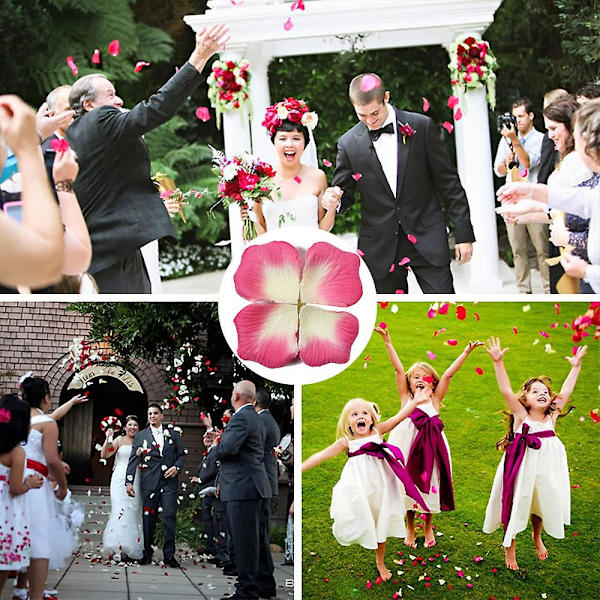 3000 st konstgjorda rosenblad för alla hjärtans dag, bröllop, fest och blomsterdekoration pink