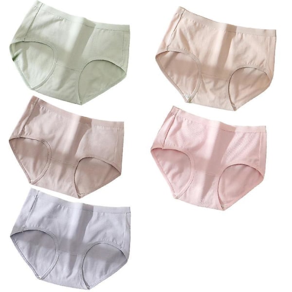 5 stk. bomulls truser pustende dameundertøy ensfargede truser dame underbukser 1 Xl