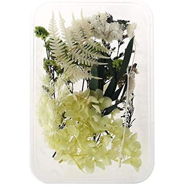 1 Æske Naturlige Tørrede Blomster Mix Flere Tørrede Blomsterblade Til Smykkefremstilling Resin Kunst Epoxy Resin Scrapbooking Blomsterdekorationer