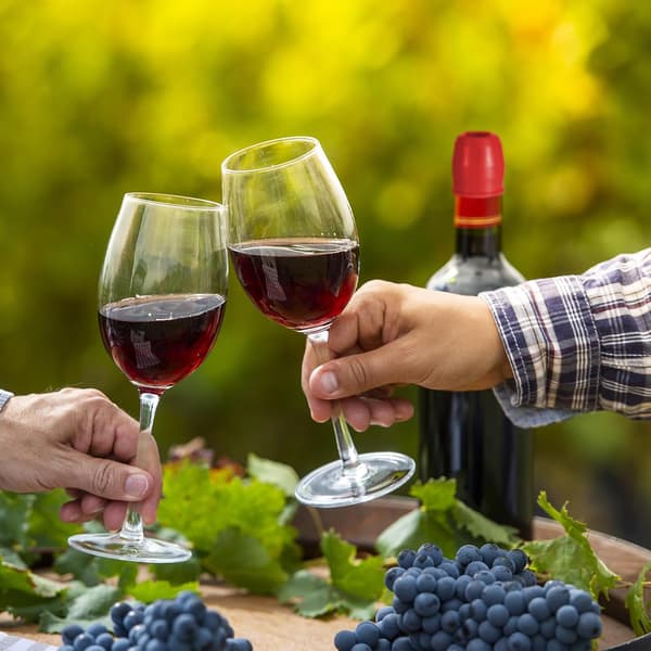 8 stk. vinpropper til vinflasker, genanvendelig champagneflaskeprop, vinforsegling til vinflasker