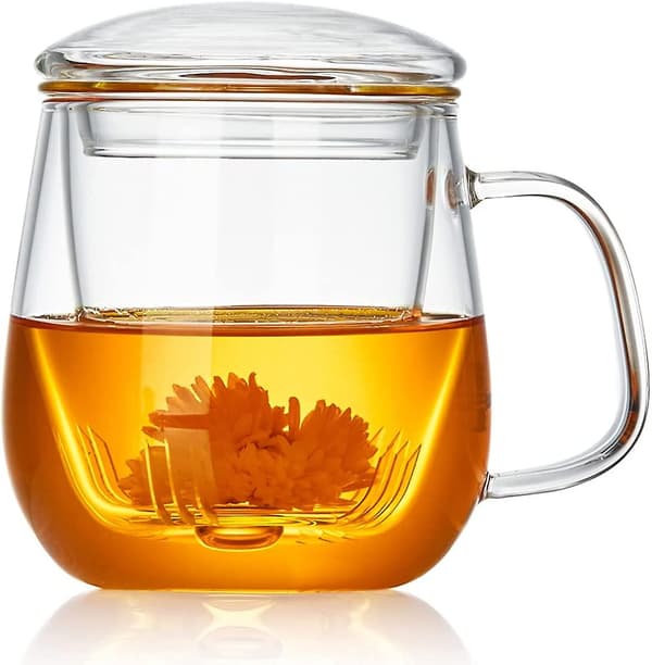 Glas Tekopp Med Infuser Och Lock, 17.6oz/520ml Klar Tekopp