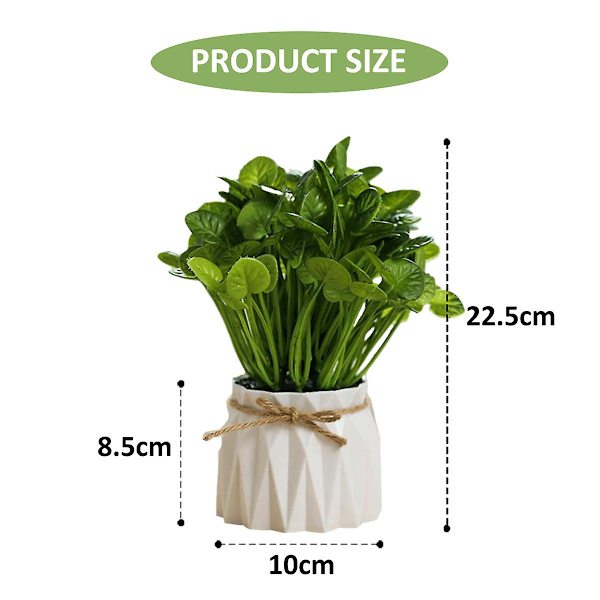 Plastpotter, Gresskuler, Grønne Planter, Potteplanter, Simuleringsblomster, Kreative Ornamenter, Kunstige Planter style1