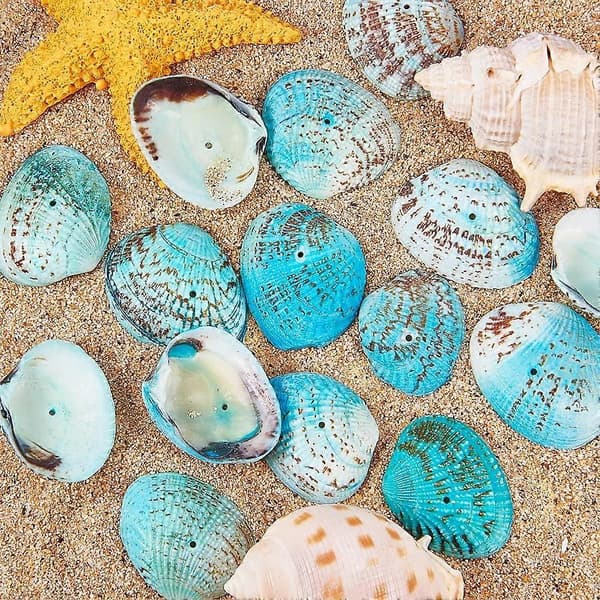 Värjätyt luonnonkuorikot Aqua