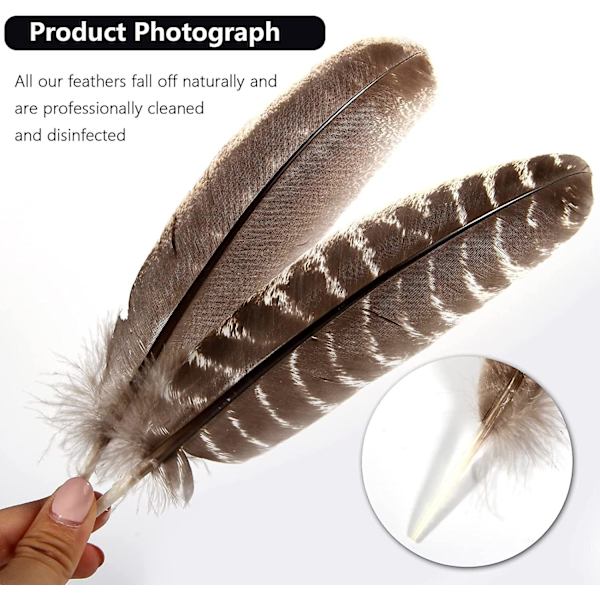 24 st naturliga vilda kalkonvingfjädrar Quill Bulk 6-8 tum 15-20 cm för DIY-hantverksprojekt Samling Bröllopsdekoration Vilda kalkonsvansfjädrar