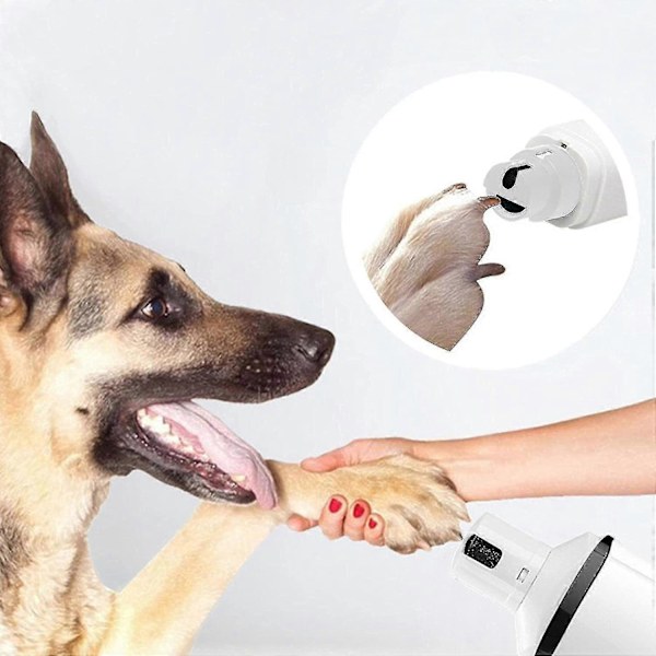 Hundnagelklippare, Elektrisk Tyst Kloklippare För Hundar, Smärtfri Nagelfil, Lämplig För Små Till Stora Hundar Och Katter (färg: svart)